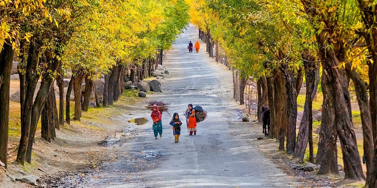 Children walking a poplar-lined road in autumn, Baltistan near Skardu