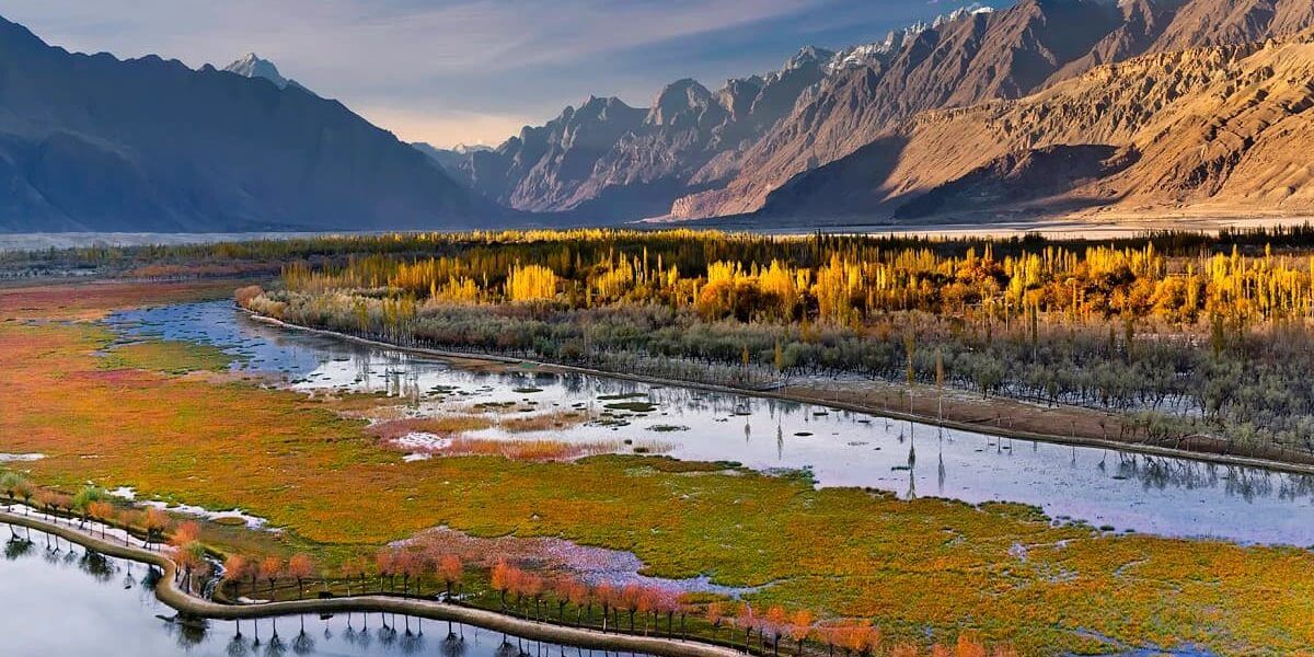 Autumn poplars along a braided river in the Skardu valley, Baltistan