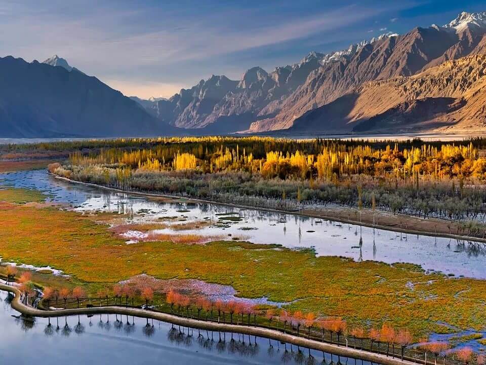 Autumn poplars along a braided river in the Skardu valley, Baltistan